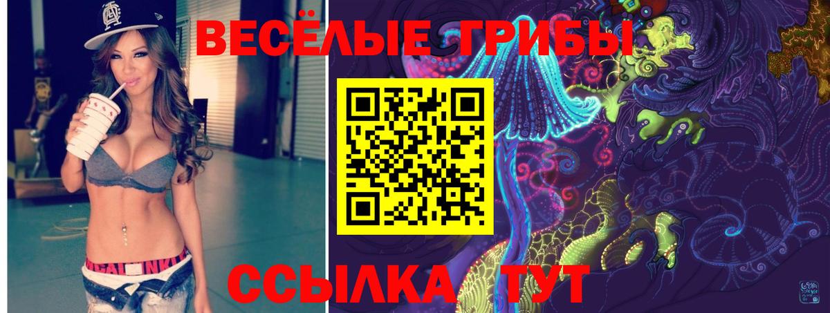 Галлюциногенные грибы Magic Shrooms Гатчина