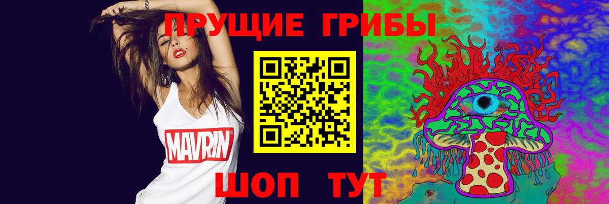 Галлюциногенные грибы прущие грибы  Вход с VPN  Гатчина 