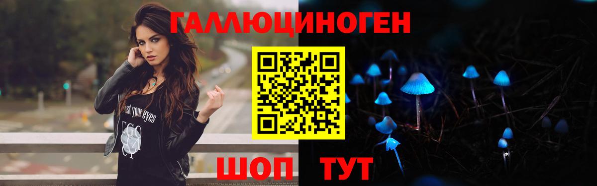 Галлюциногенные грибы Psilocybe  Гатчина 